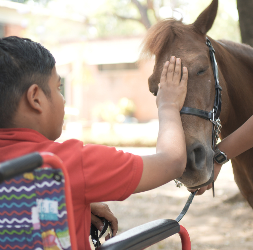 Therapy dog interaction 10