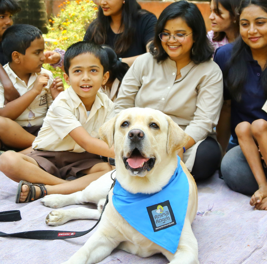 Therapy dog interaction 11