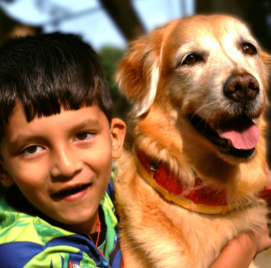 Therapy dog interaction 14
