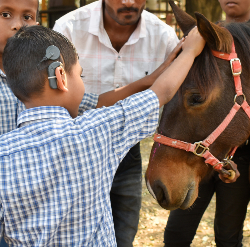 Therapy dog interaction 15