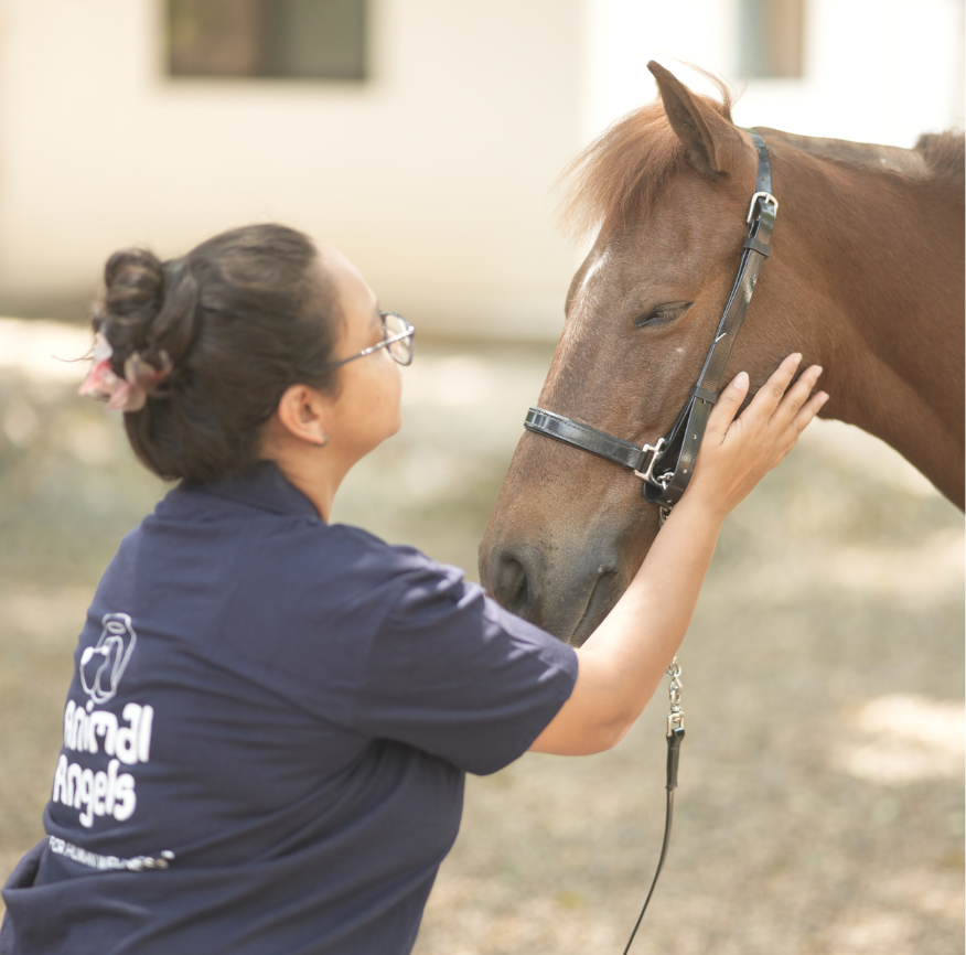 Therapy dog interaction 16