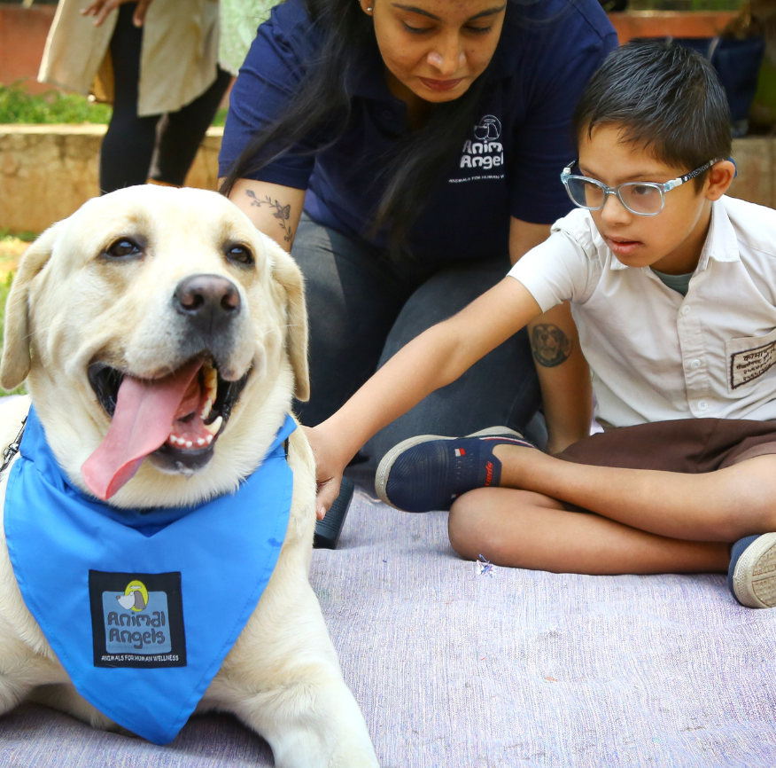 Therapy dog interaction 17