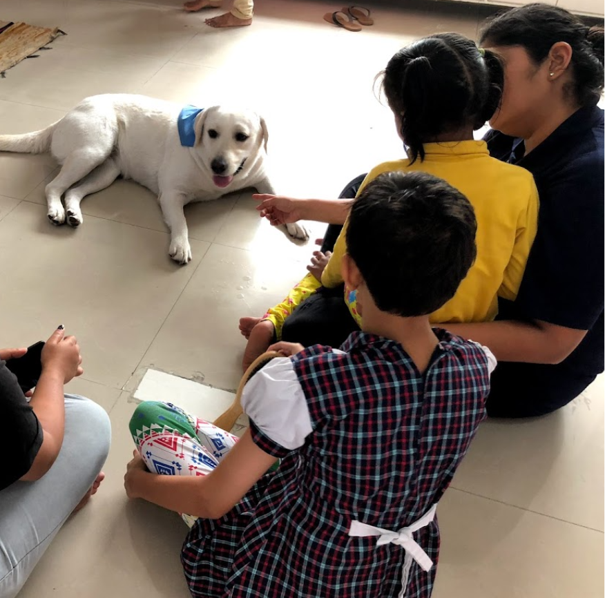 Therapy dog interaction 18