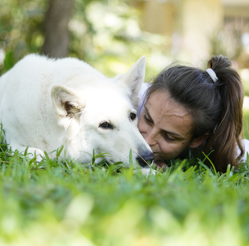Therapy dog interaction 20