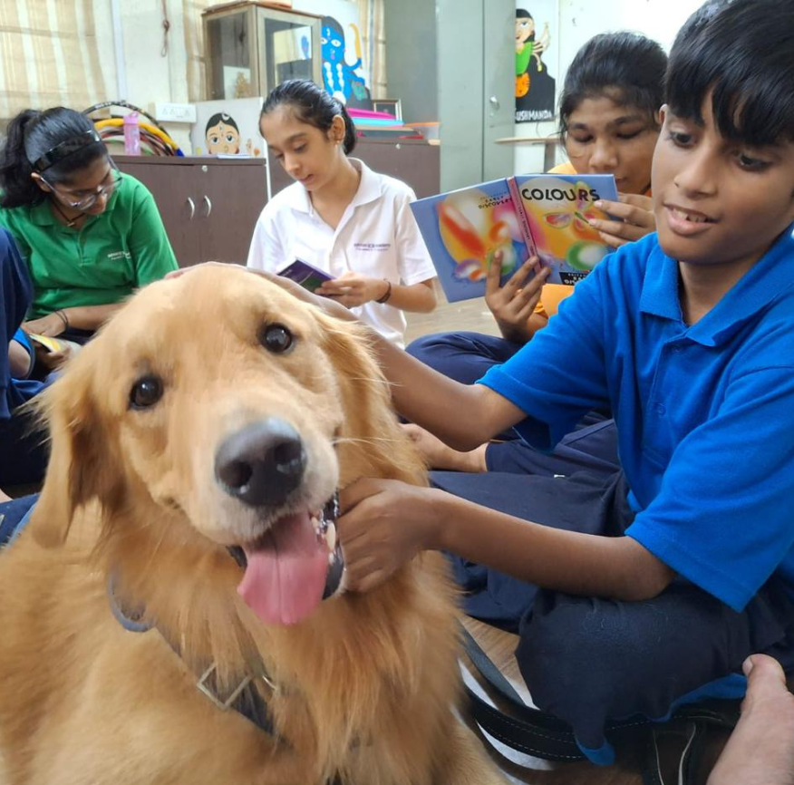 Therapy dog interaction 3