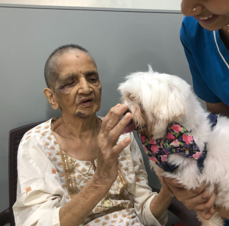 Therapy dog interaction 5