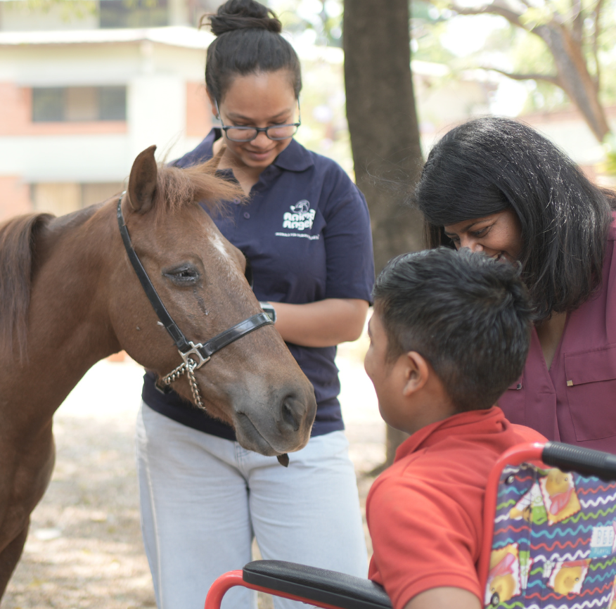 Therapy dog interaction 6