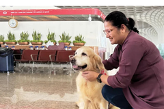 Dog-Therapy-Takes-Off