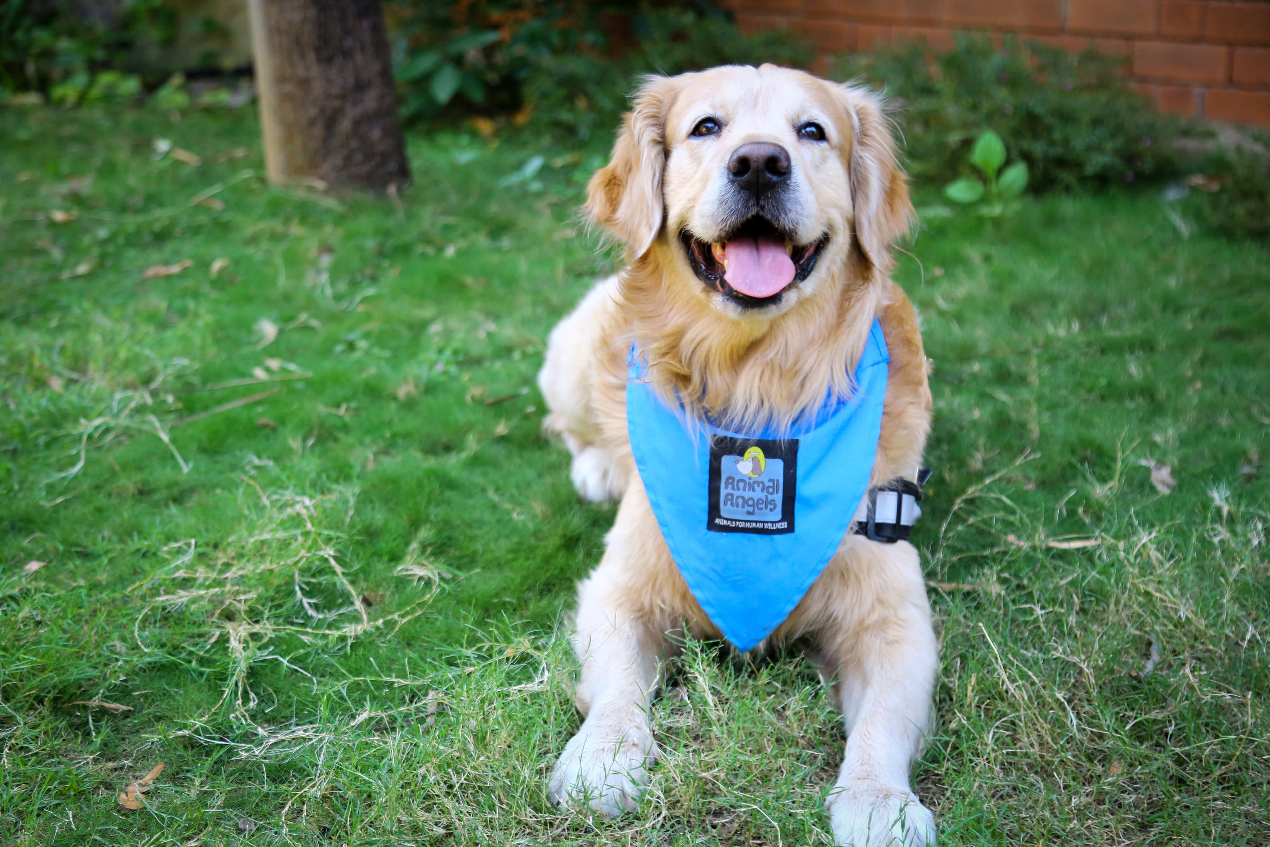 Training & Education