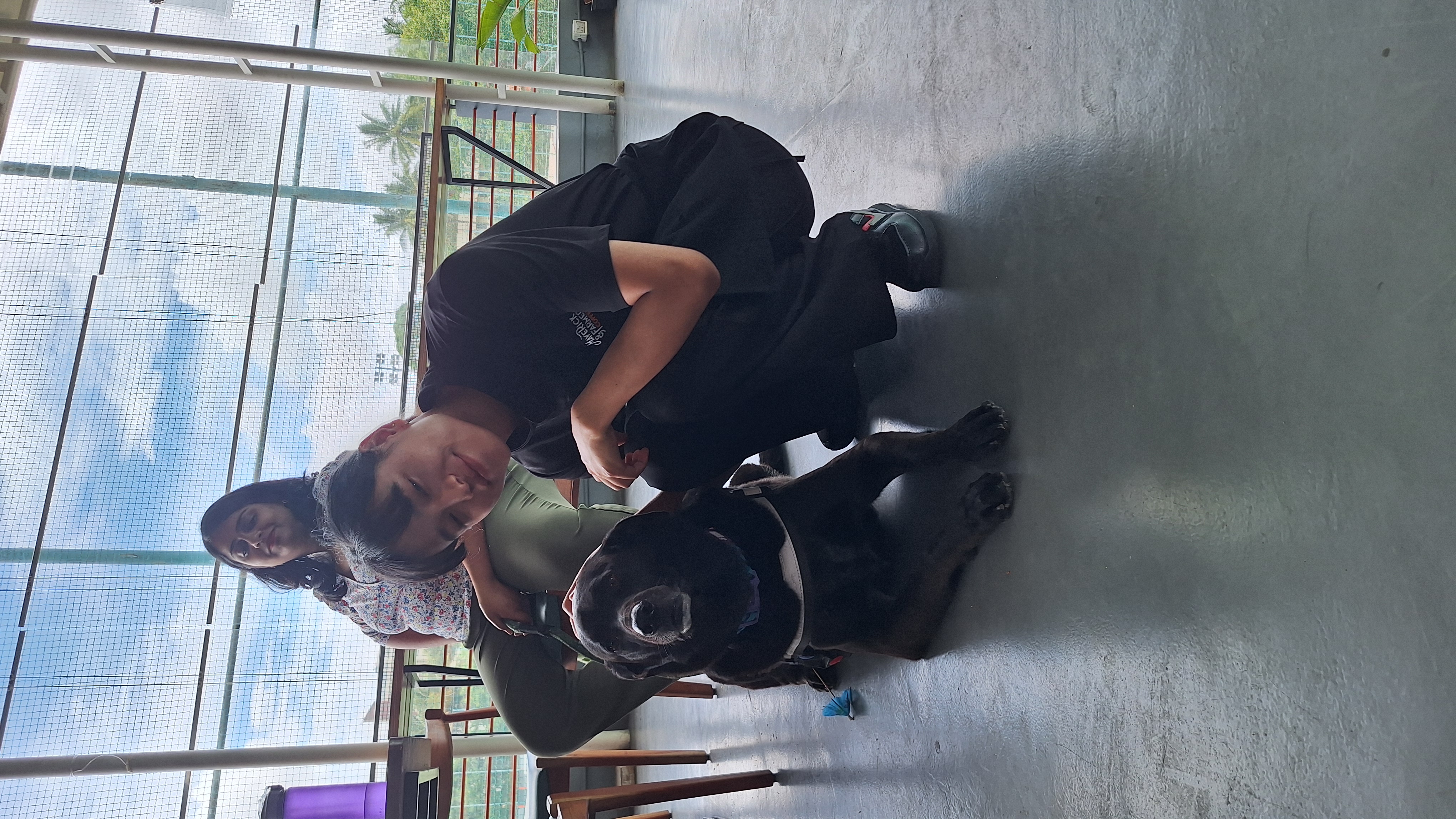 Equine Therapy Training