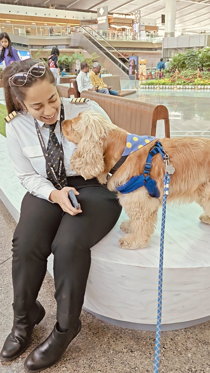 Equine Therapy Training