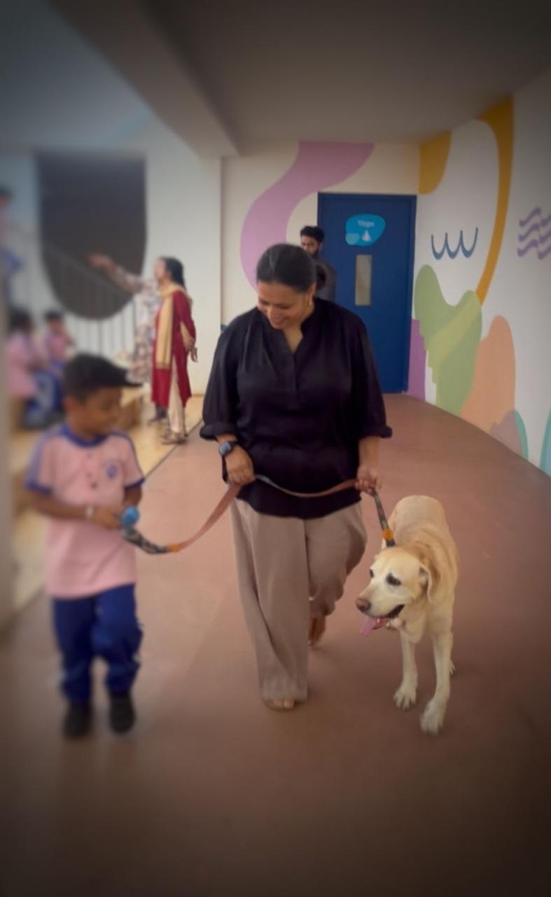 Equine Therapy Training