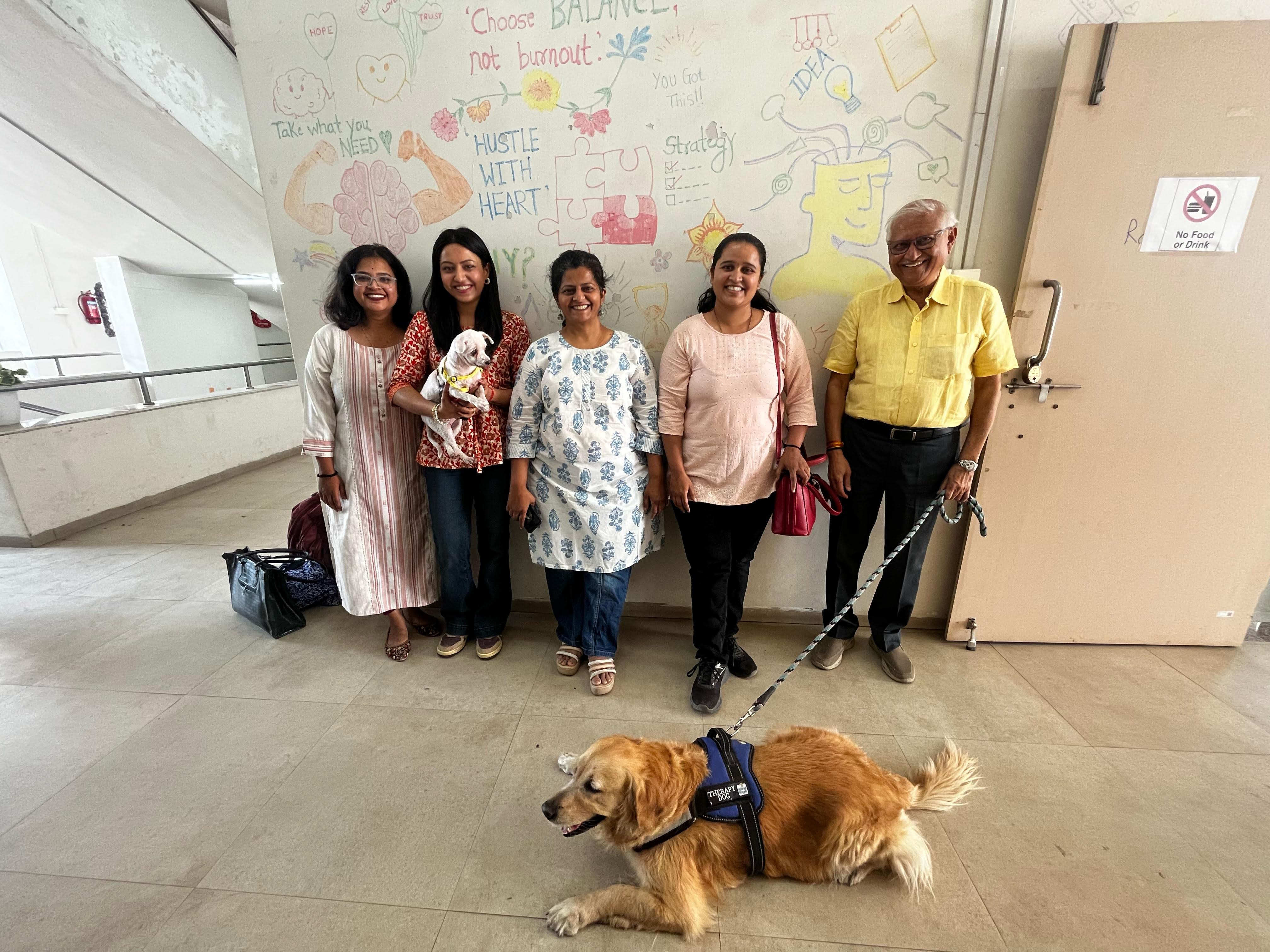 Equine Therapy Training