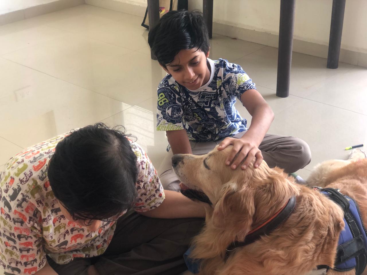 Equine Therapy Training