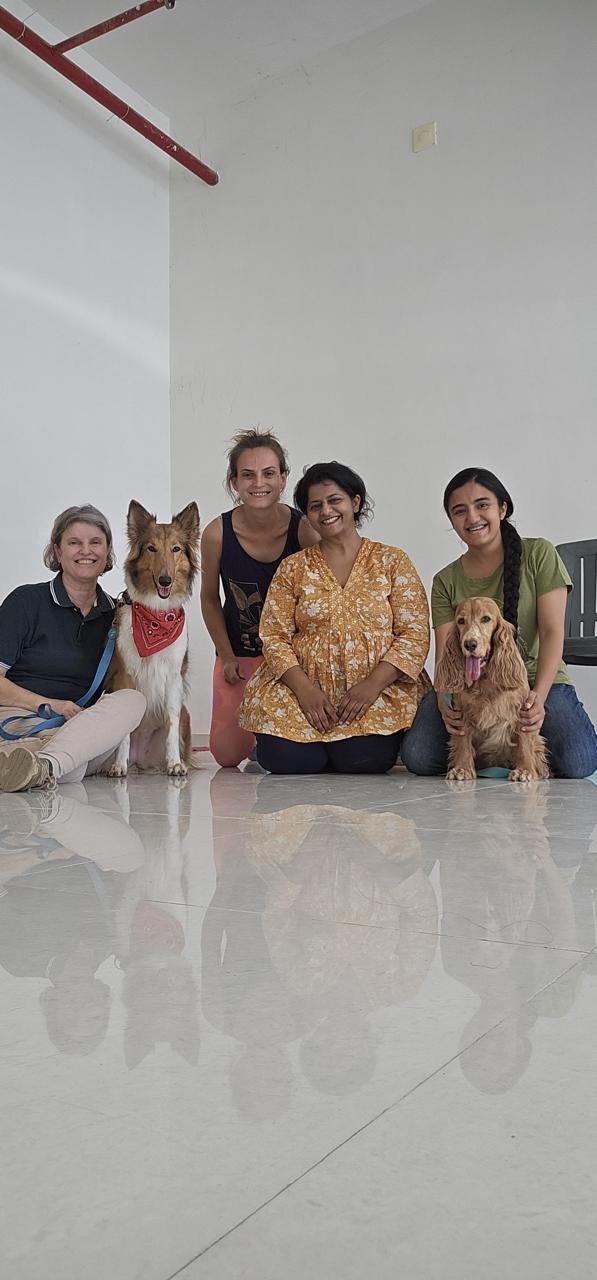 Equine Therapy Training