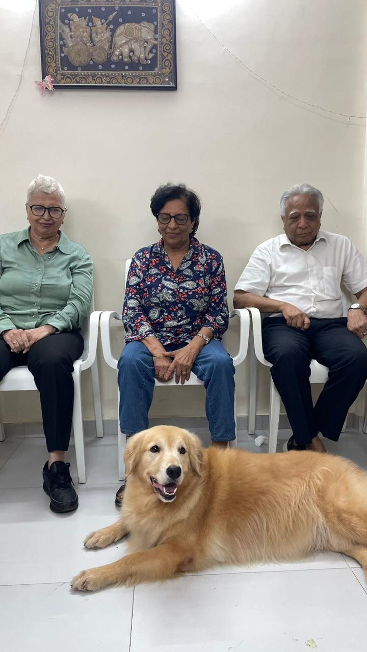 Equine Therapy Training