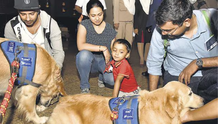 Animal Assisted Activities