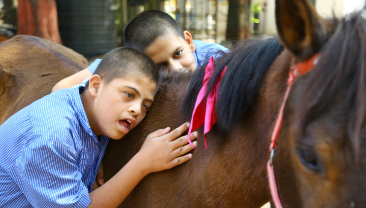 Therapy animal in school