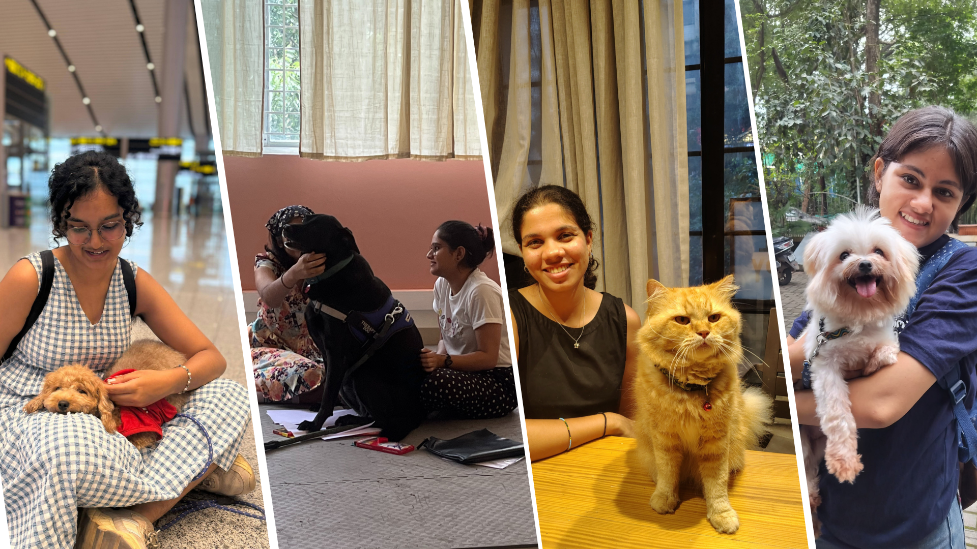 Animal Angels Therapy Centre Banner