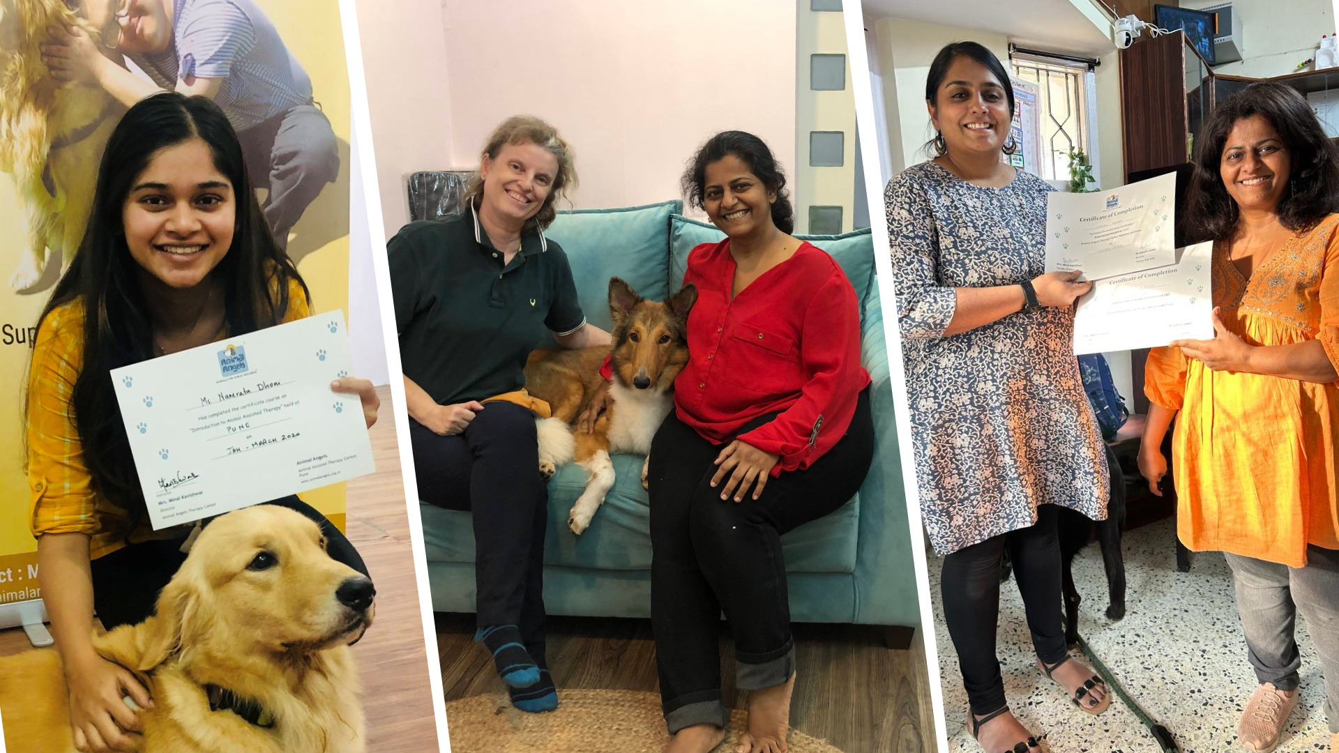 Practicing Professionals Comfort Dogs Program Banner