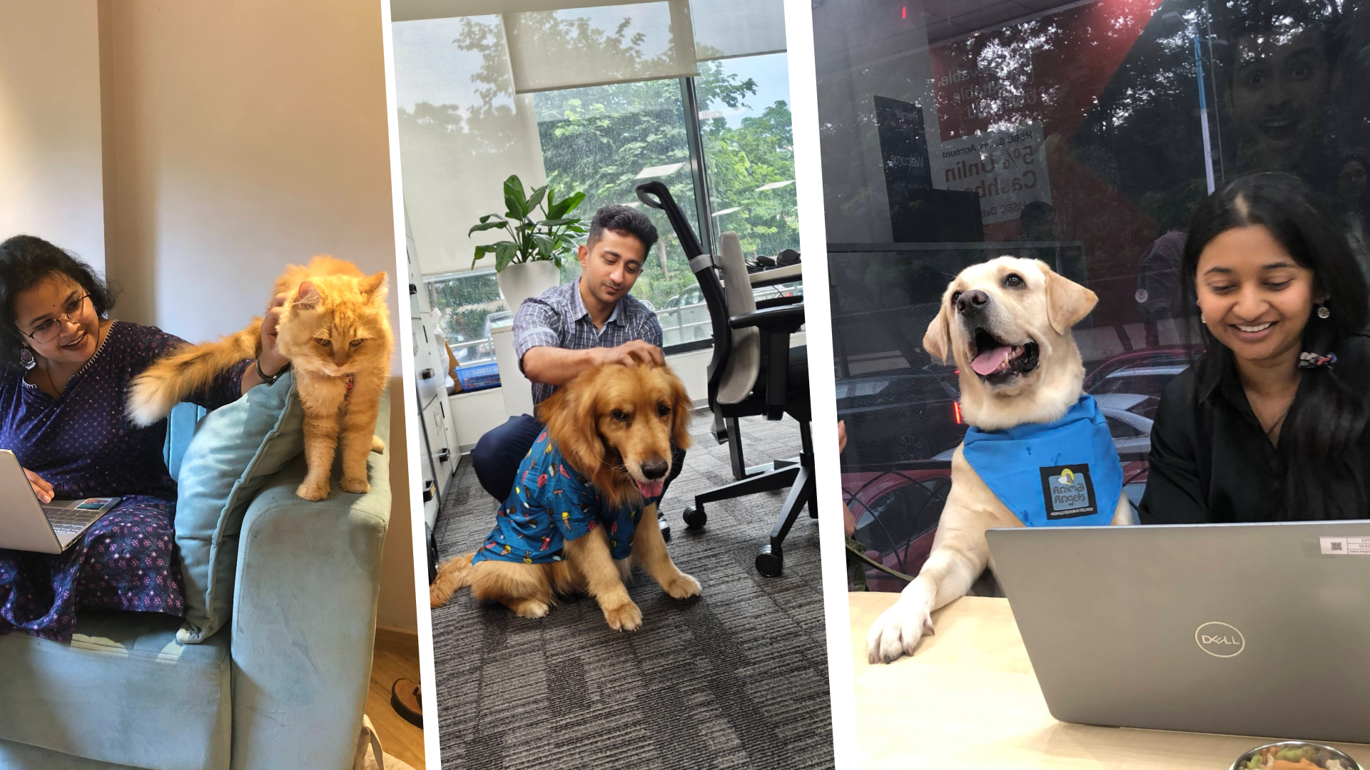 Corporate Comfort Dogs Program Banner