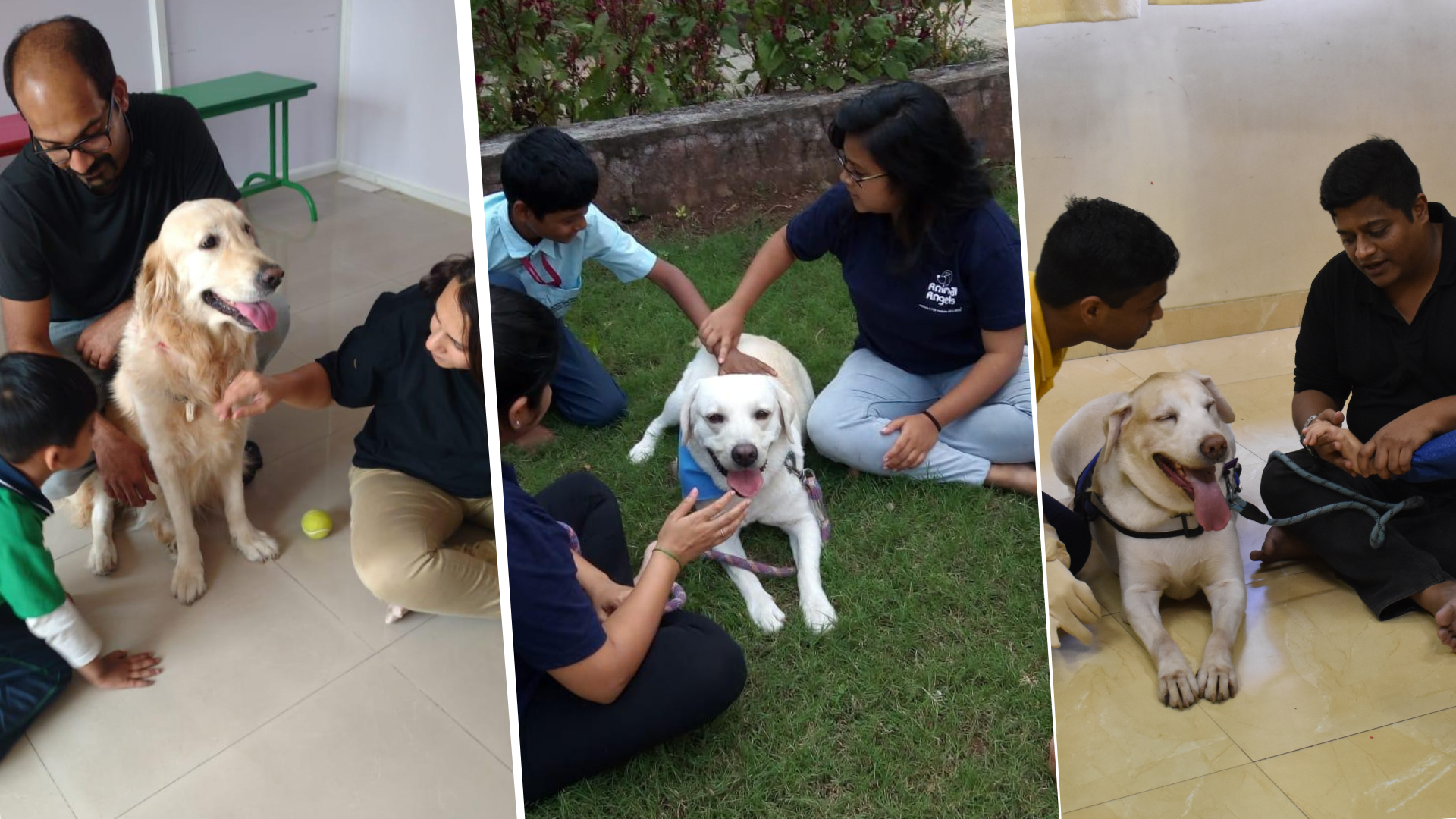 Family Comfort Dogs Banner