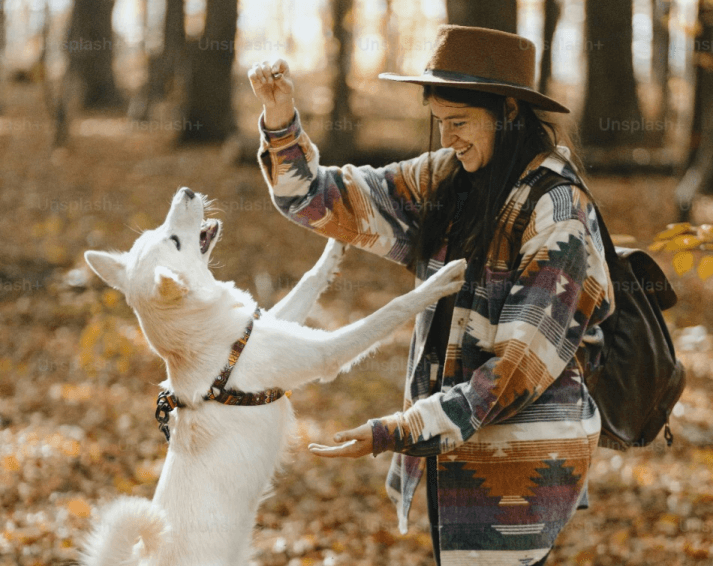 Play Therapy Based Activities with Therapy Dogs Banner