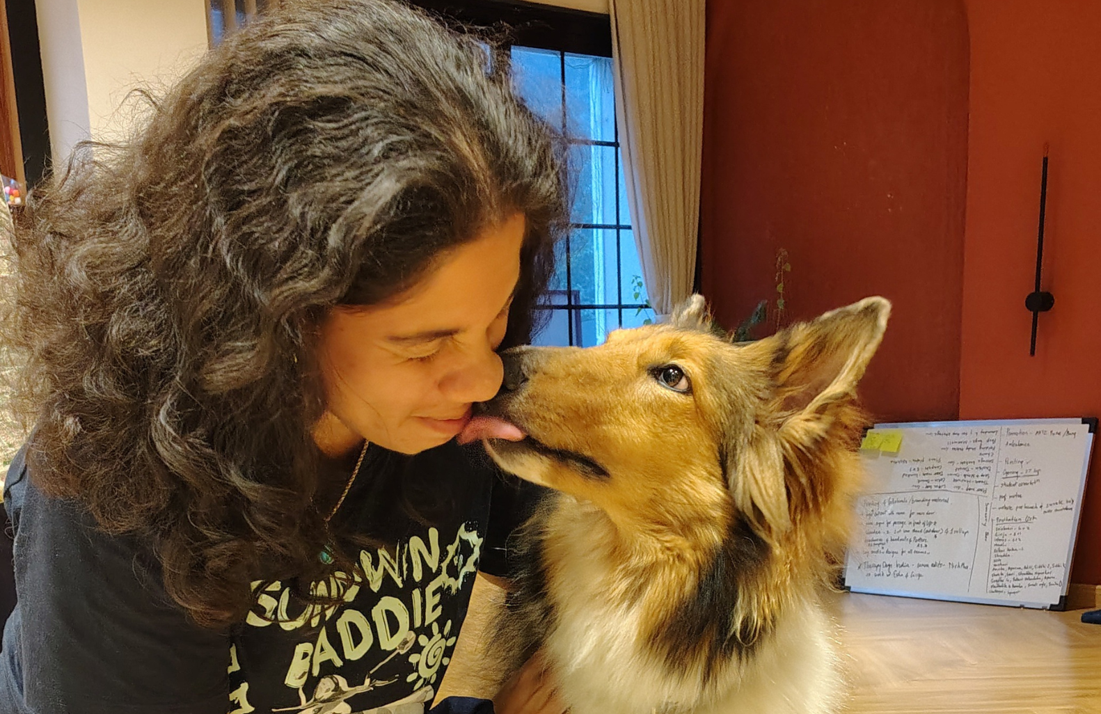 Animal Angels Therapy Centre