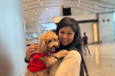 Airport Comfort Dog Program