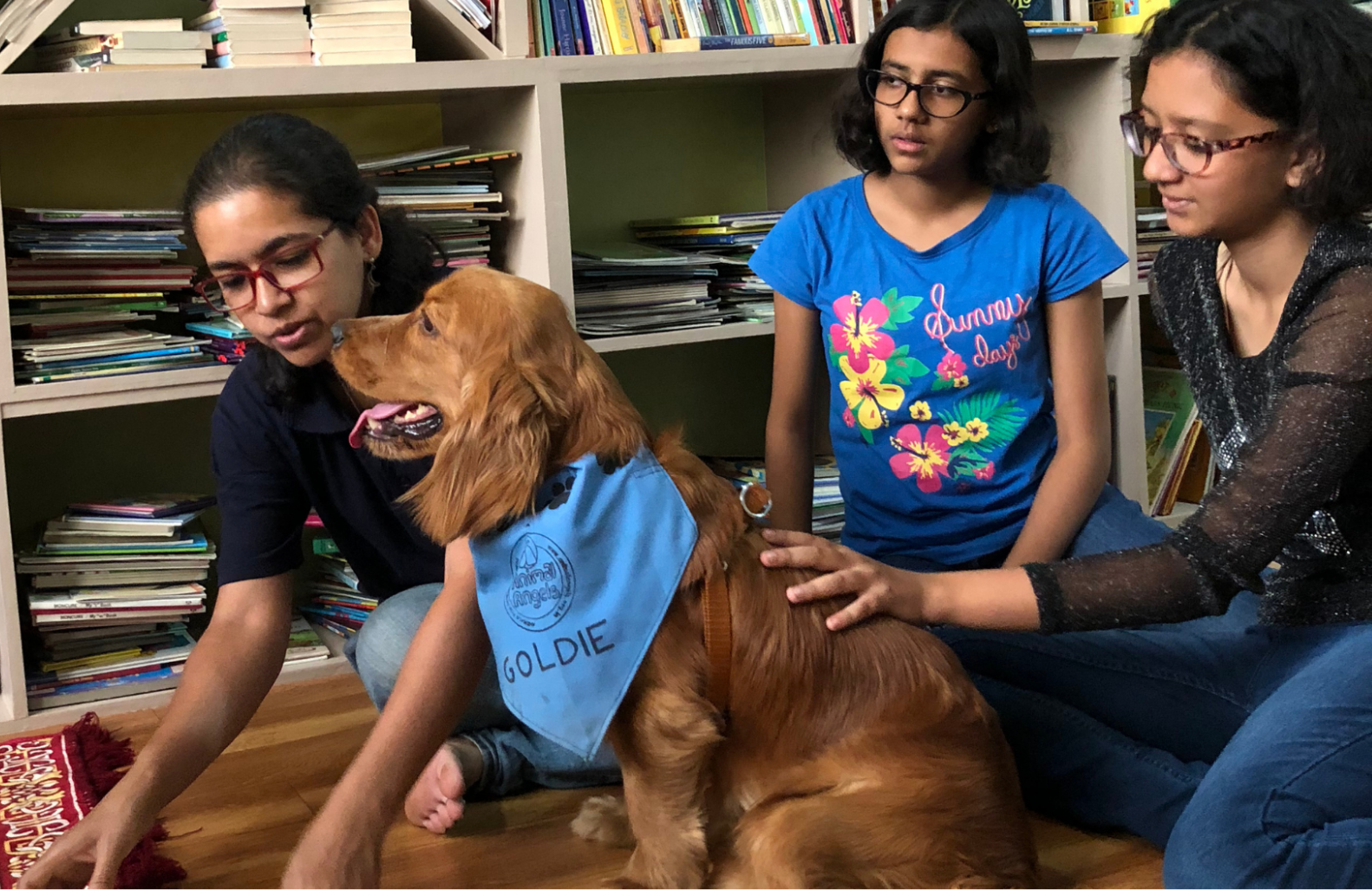 Tails of Joy Program