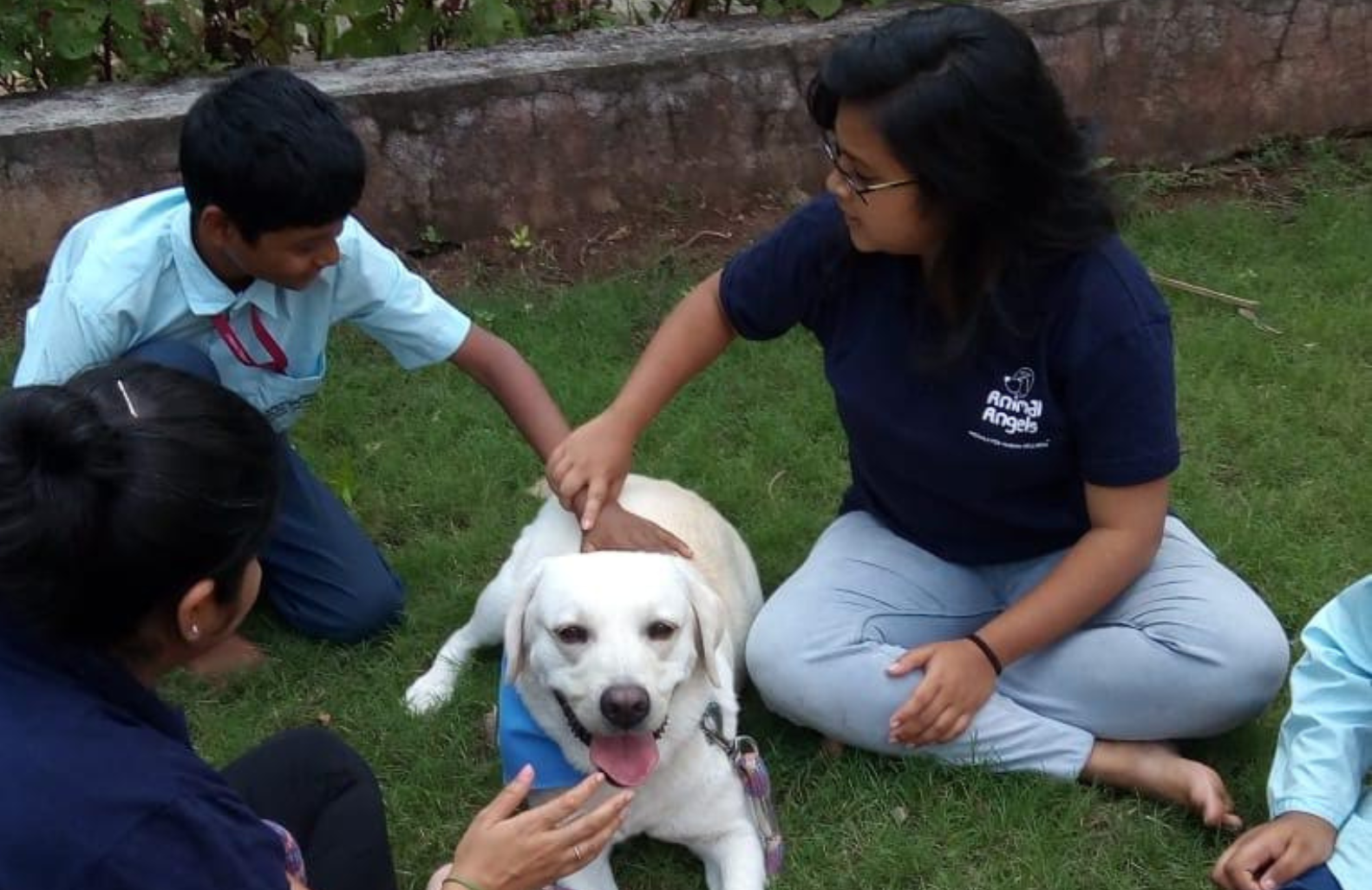 Certification for Practicing Professionals