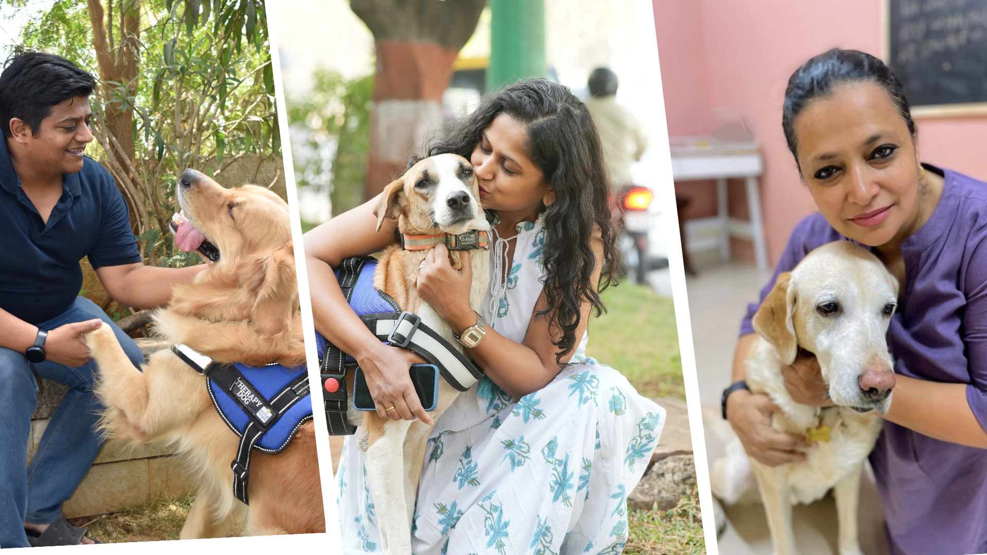 Training & Certification for Therapy Dog Handler Teams Banner